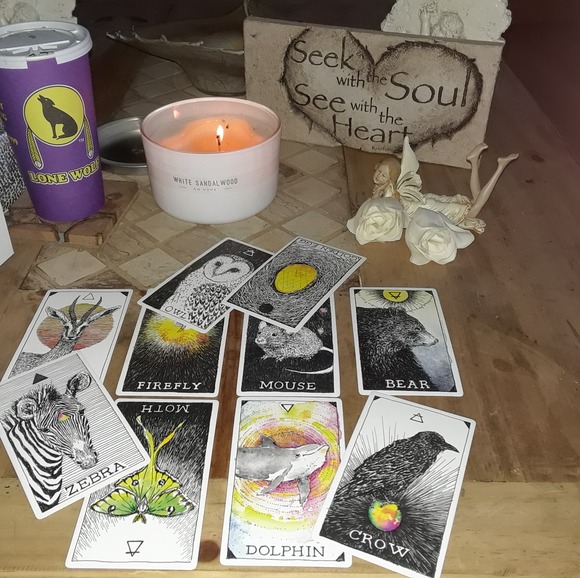 Meet your Posher, Marilyn - Picture 1 of 1